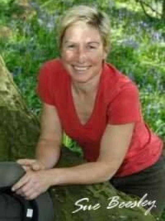 suebeesley