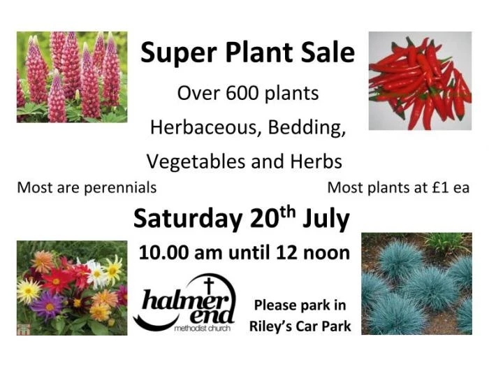 super plant sale20th july 2019b190709docxpage001page001