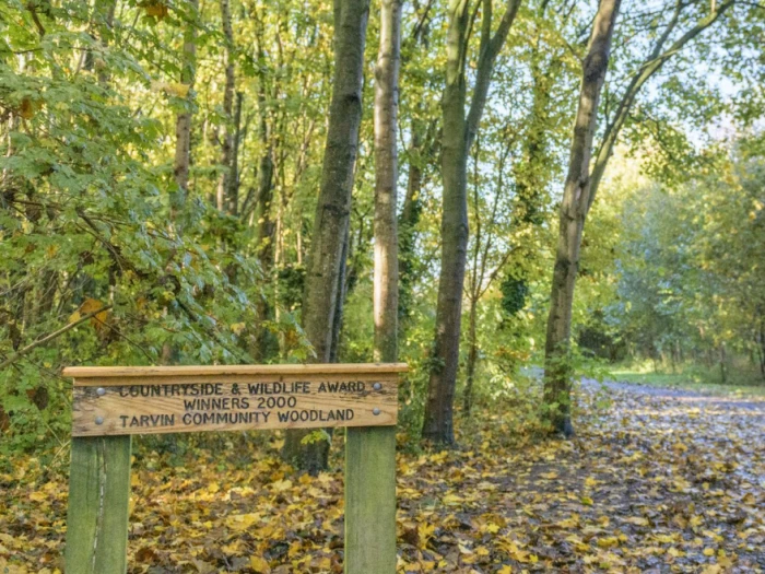 tarvin community woodland