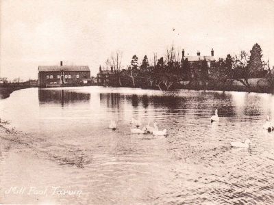 tarvin mill  pool