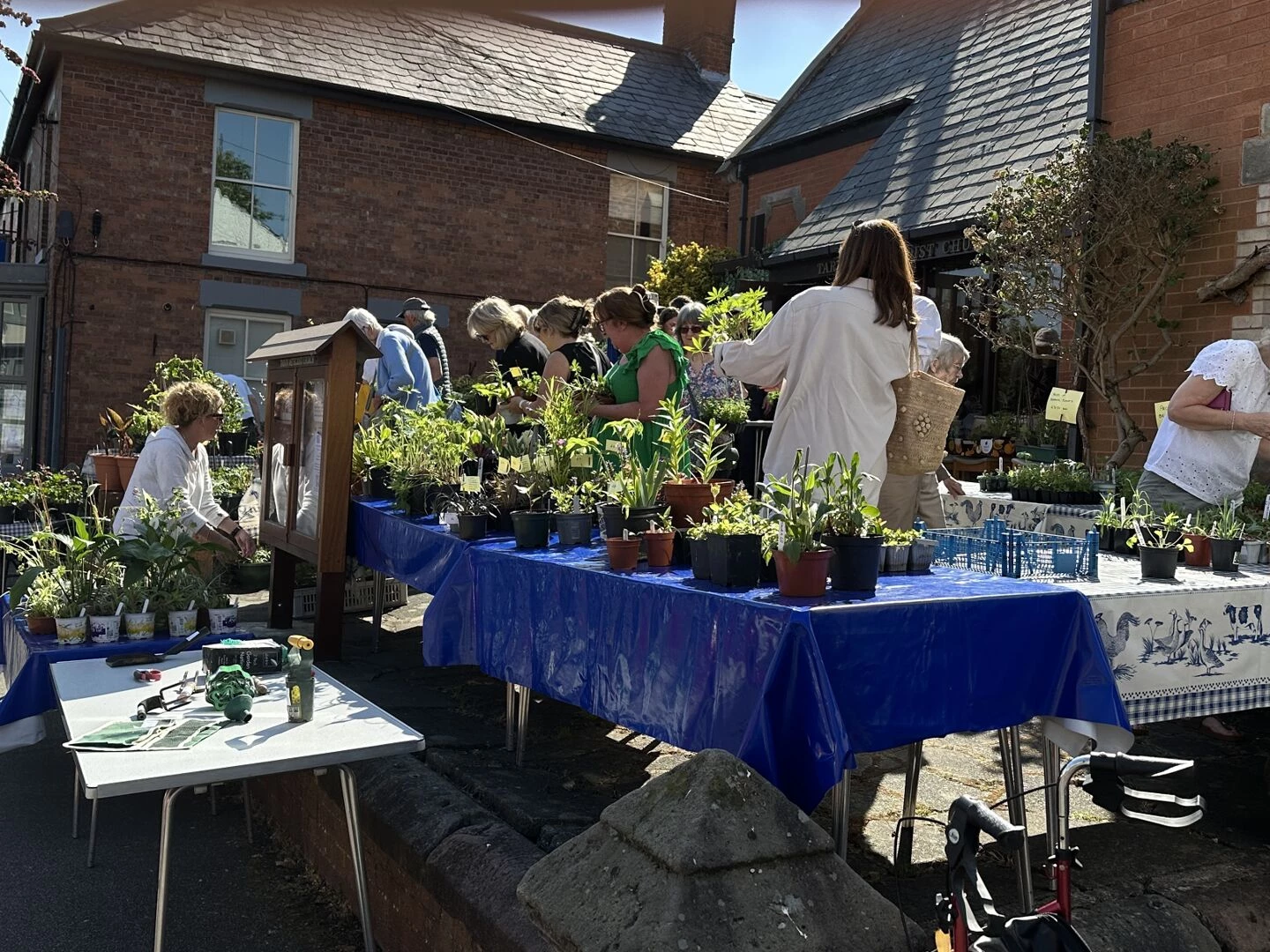tarvin plant sale 2025 5