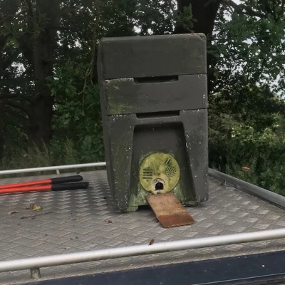 temporary hive