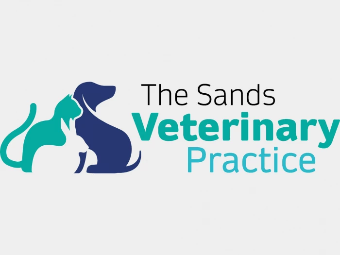 the sands vets