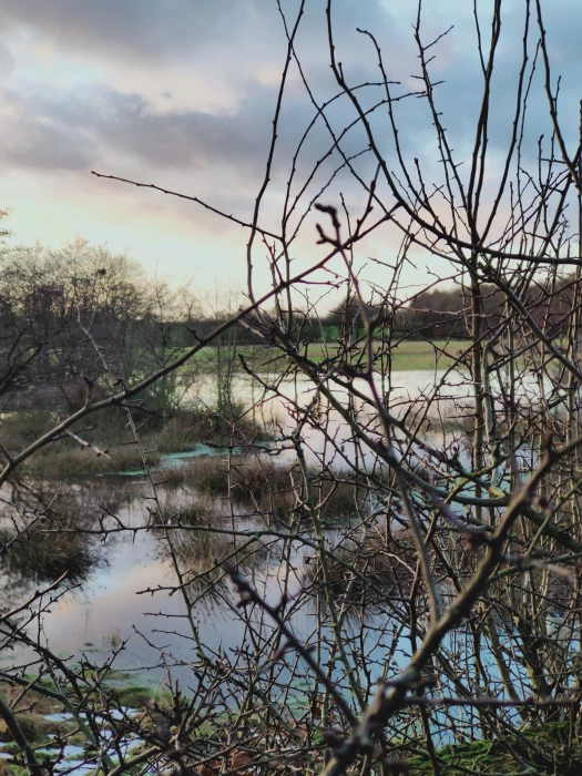 tol hochenhall farm mere image20210121161505290041