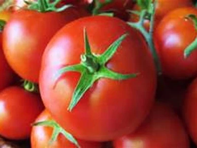 tomatoes photo