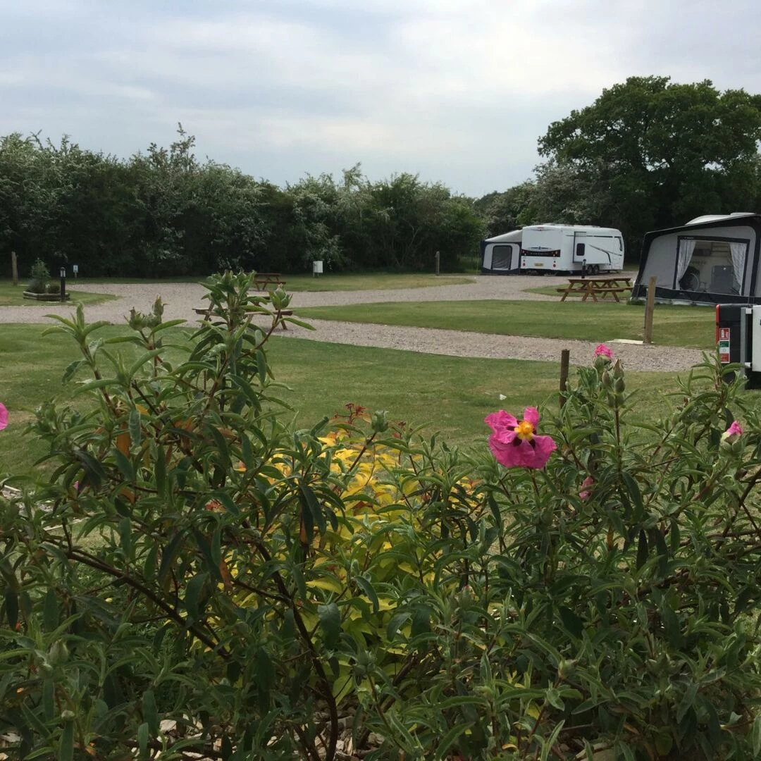 touring park