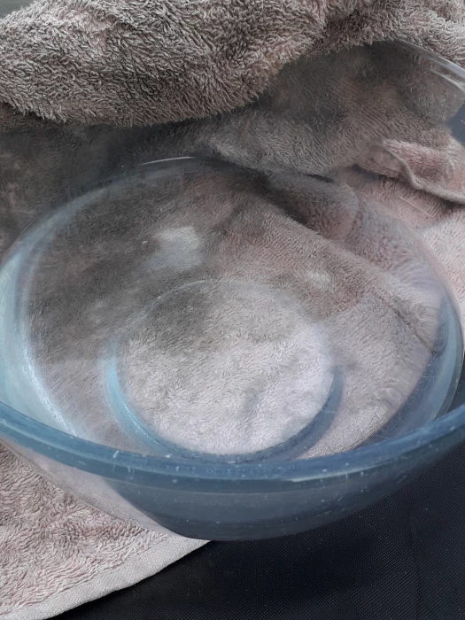 towel  bowl