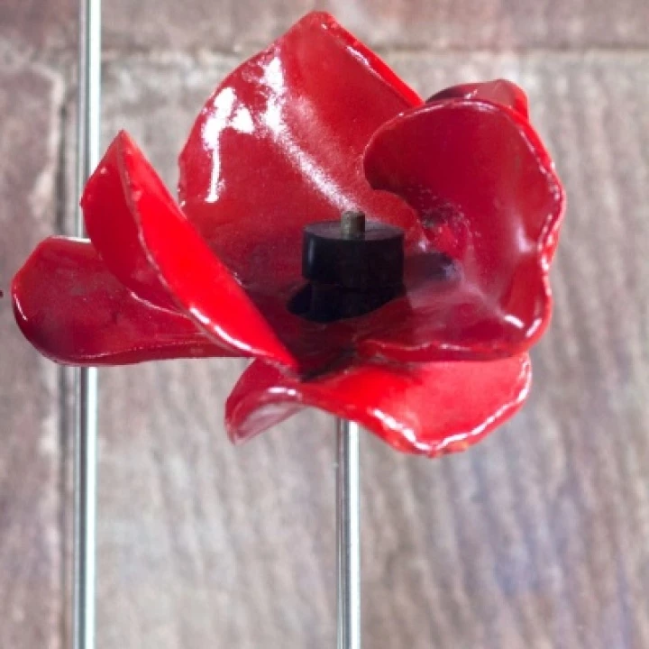 towerpoppies