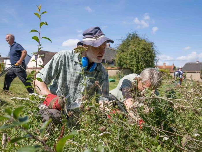 townsend community orchard 09