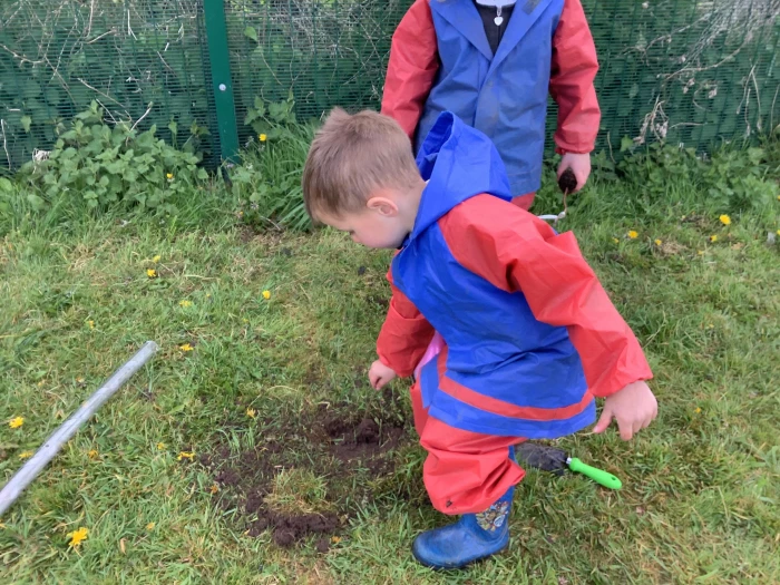 tree planting thanks to the woodland trust 1