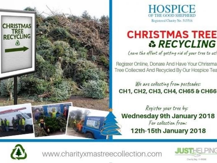 tree recycling