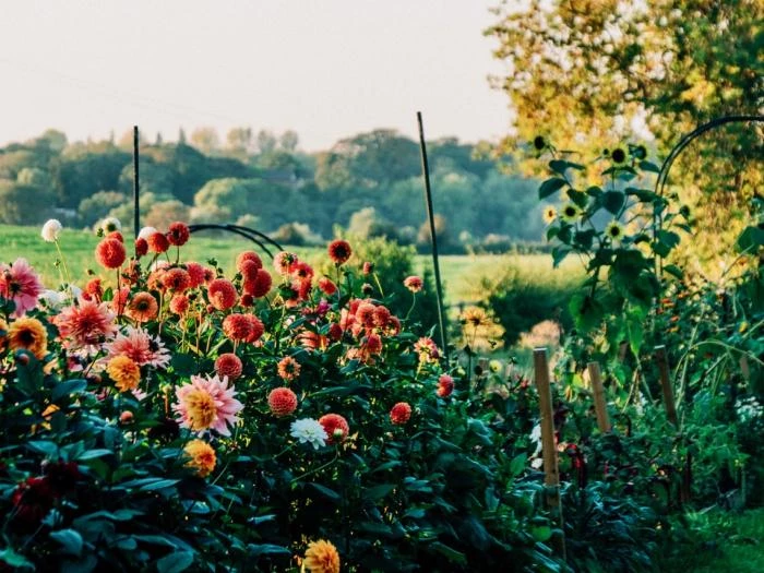 tucking up the garden