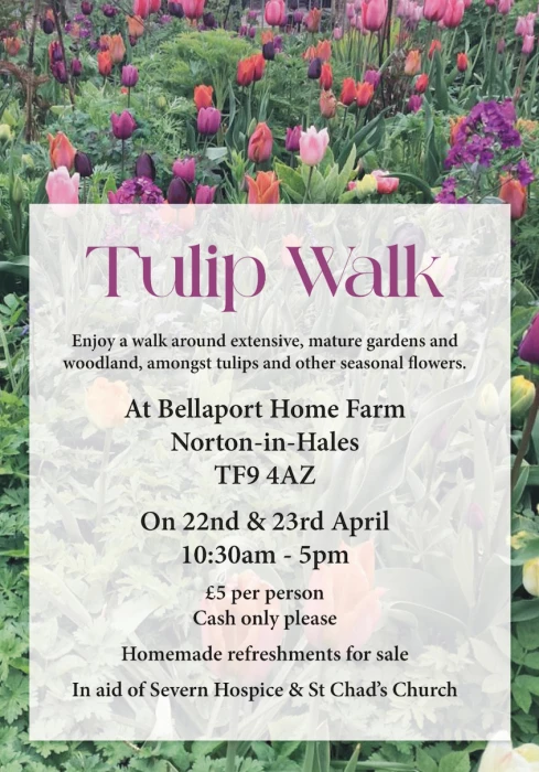 tulip walk