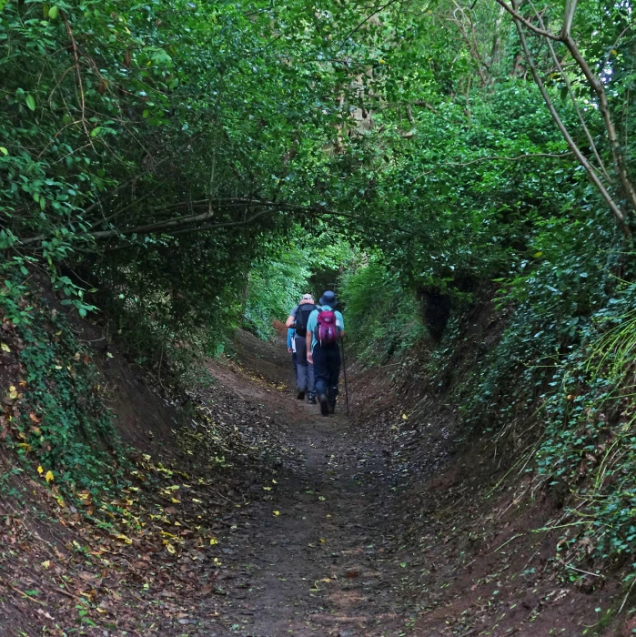 tunnel visionrrs00644