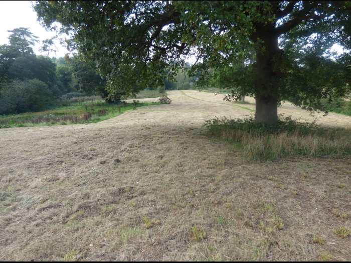 turn pike field