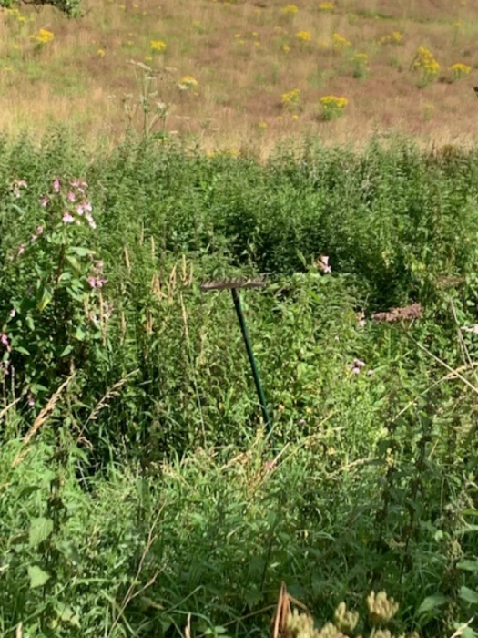 turnpike field 3
