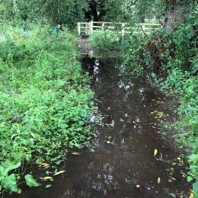 turnpike field