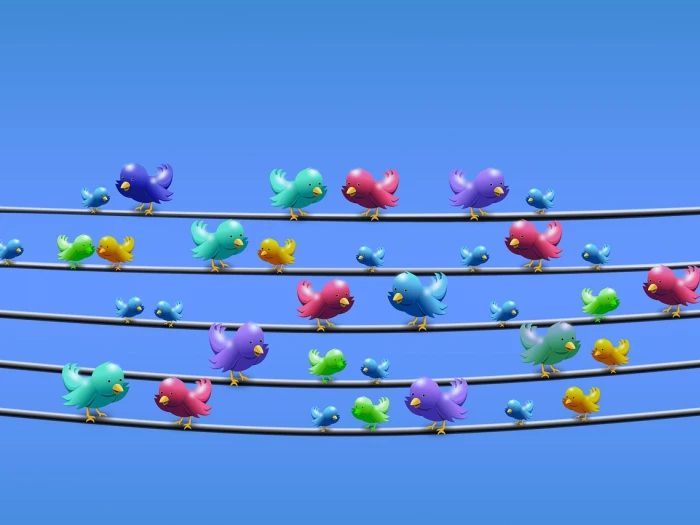 twitter management power line