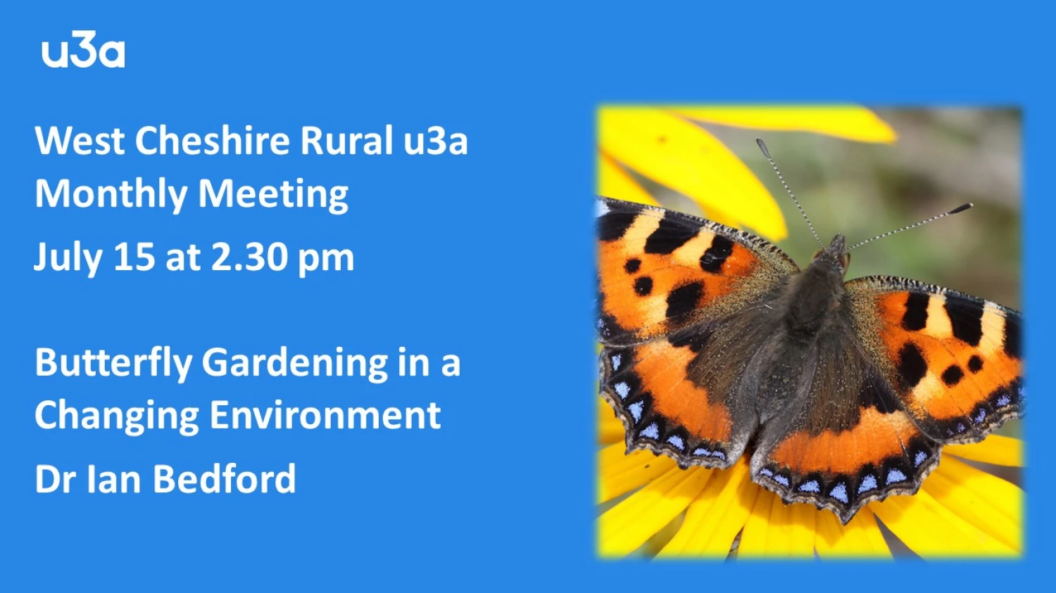 u3a july 2021 butterfly talk