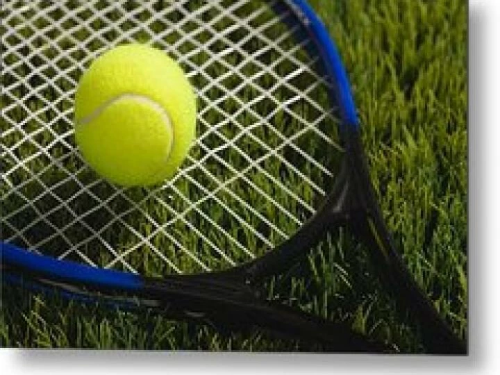 usaillinoismetamoratennisracketandballongrassvstockllc