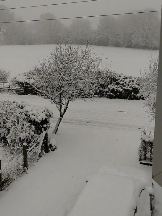 view from the office window