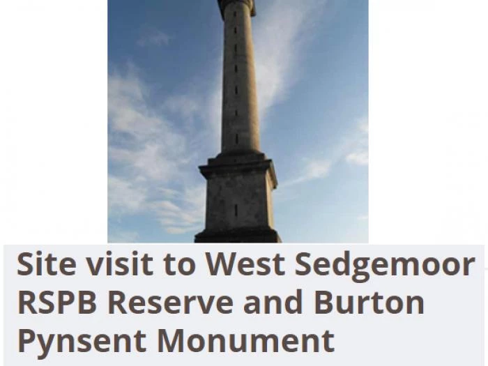 visit to monument and rspb west sedgemoor