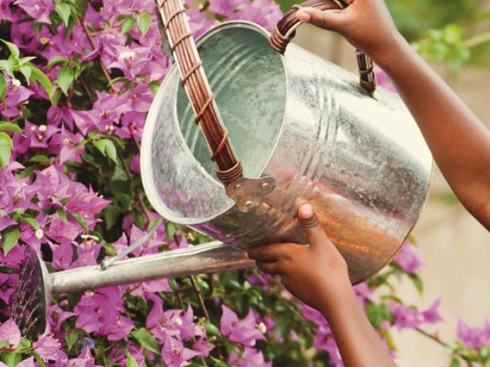 watering can