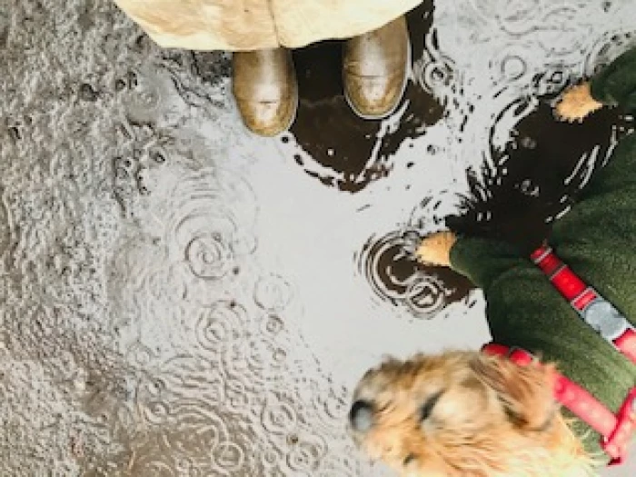 wednesday weather thought rain