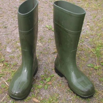 wellington boots