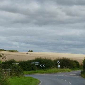 werruralsombornes