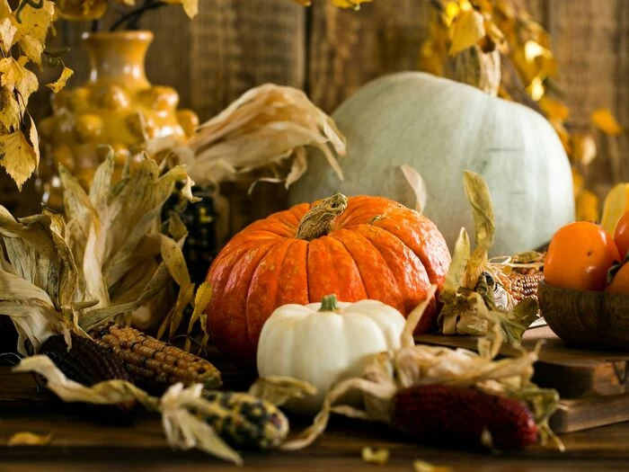 white and orange pumpkins on table