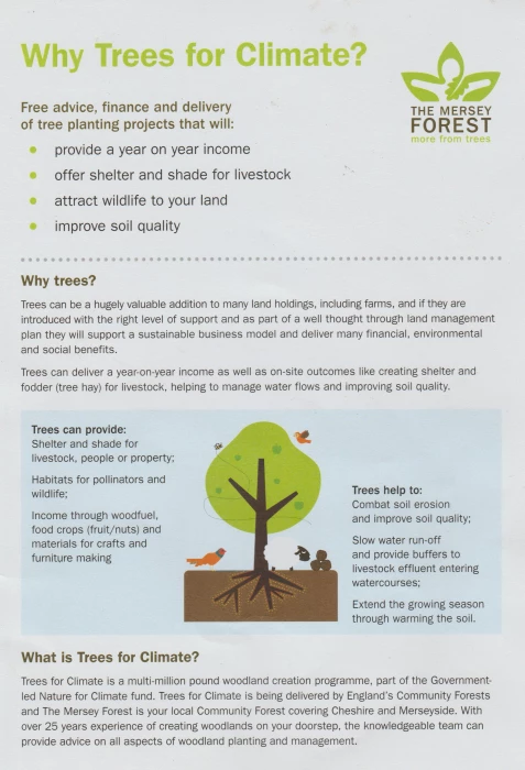 why trees 1