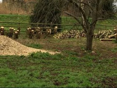 wood chippings