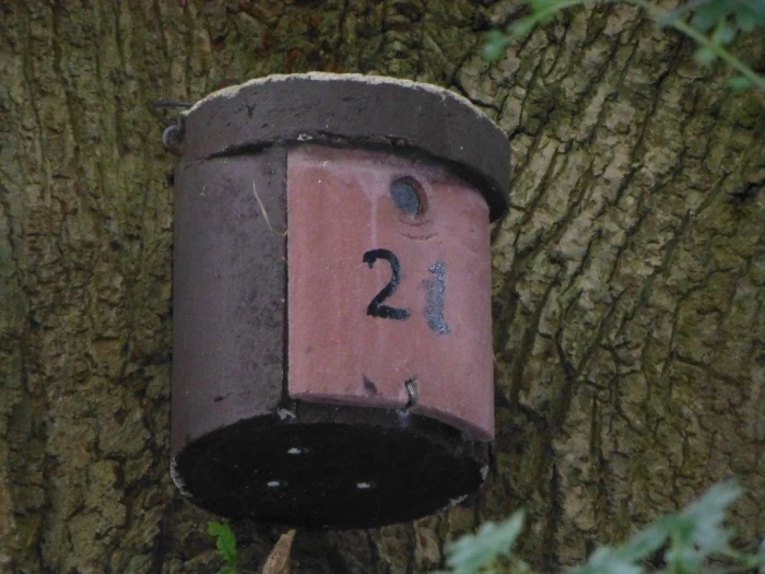 woodcrete bird box