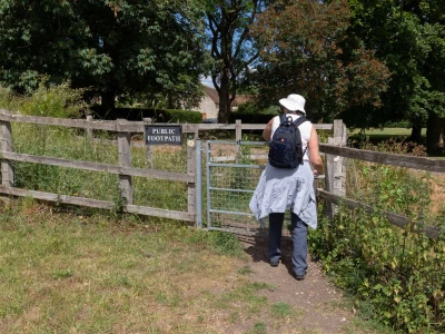 wychert wayimage