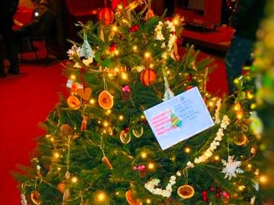 xmas tree 2019 01