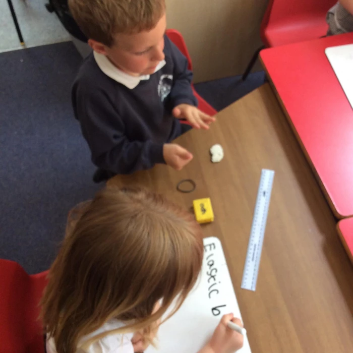 y1 science 4