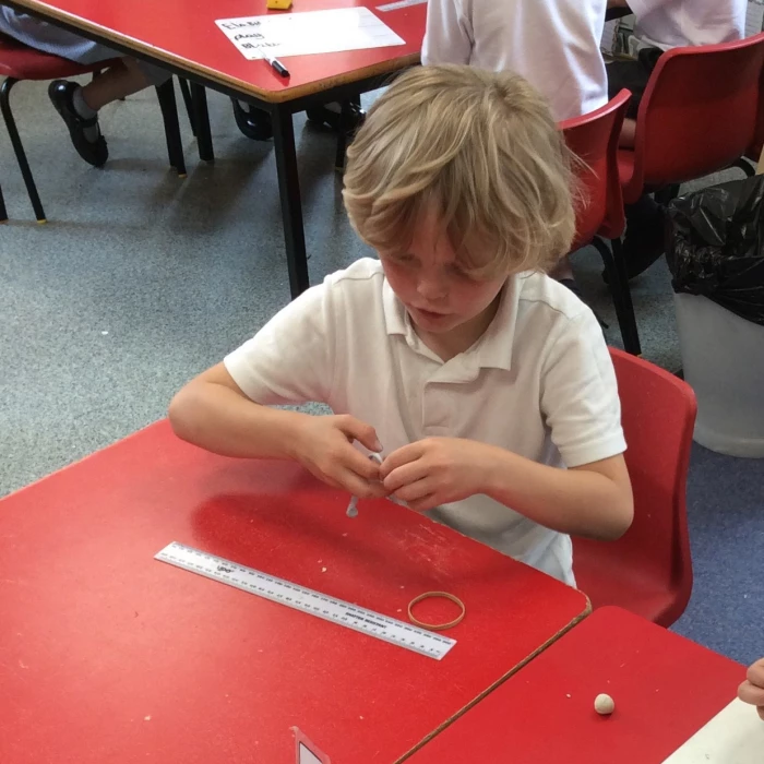 y1 science 5
