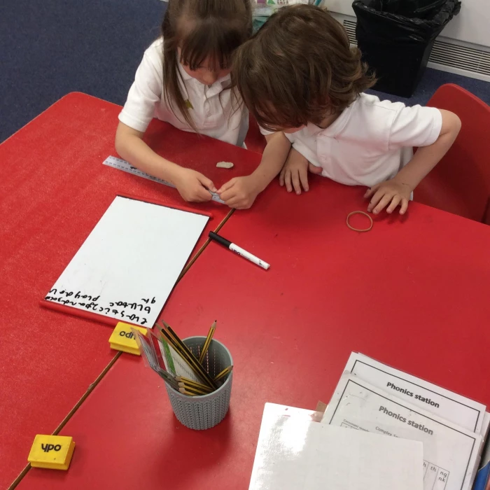 y1 science 7