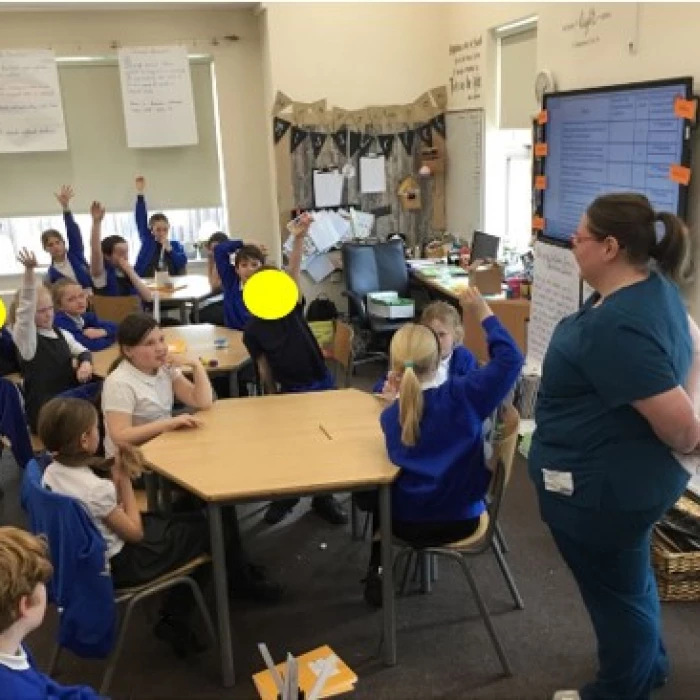 y4 science week 2