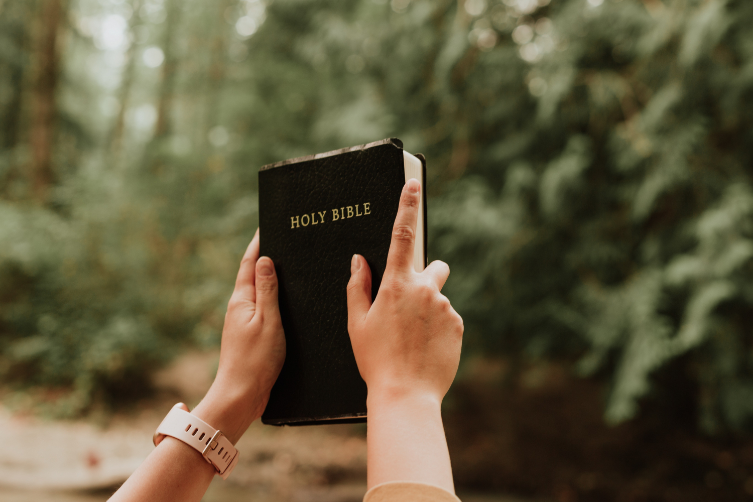 why-should-we-read-the-bible